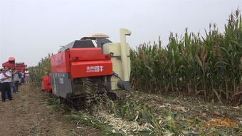 農(nóng)機(jī)化技術(shù)觀摩會(huì)盛大召開，國(guó)豐機(jī)械創(chuàng)新產(chǎn)品引領(lǐng)關(guān)注